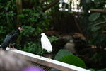 DSC_9065.JPG